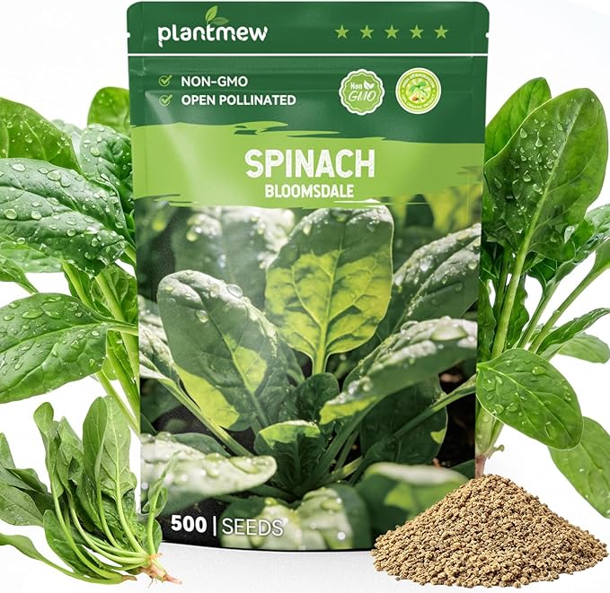 Bloomsdale Spinach Seeds for Planting, 500 Heirloom Seeds — Fast Growing Vegetable Seeds for Spring & Fall Gardens