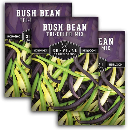 Tri Color Blend Bush Bean Seeds for Planting - Mix of Green, Yellow Wax, & Purple Beans with Stringless Pods - 3 Non-GMO Heirloom High Yield Varieties - Survival Garden Seeds (3 Packs)