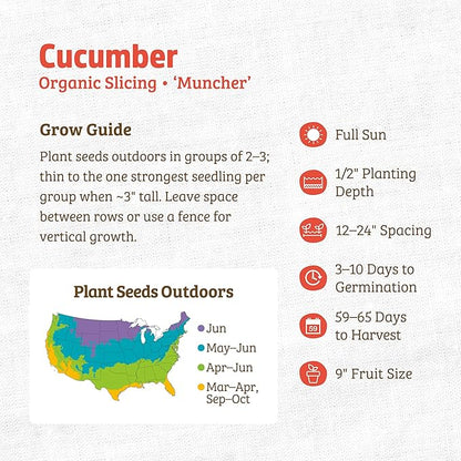 Back to The Roots 100% Organic Heirloom Seeds - Burpless Cucumber Value Pack (3g Total)