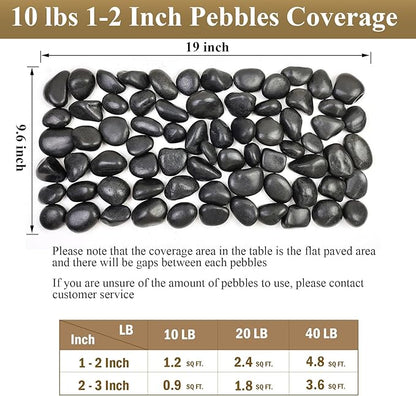 FANTIAN 10 lbs Black Rocks Pebbles for Plants, 1-2 Inch Polished Black River Rocks for Planter Garden Landscaping Vase Yard Walkway Home Décor Paving Fountain and Outdoor Decorative Stones
