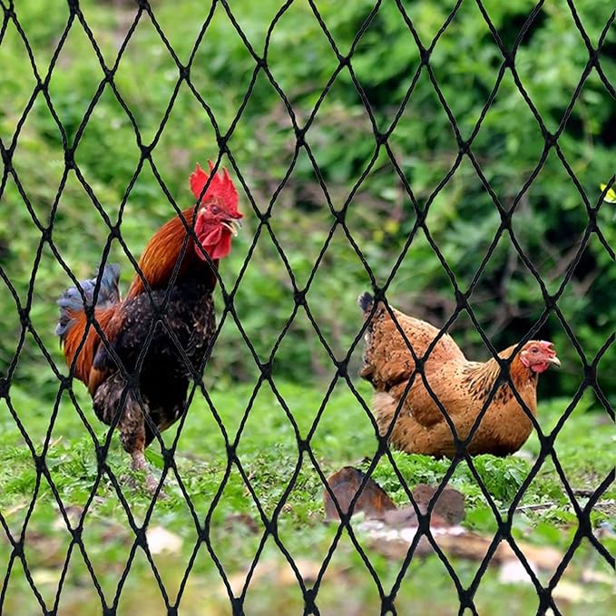 Bird Net - 50' x 50' Garden Netting with 2.4" Square Mesh Protect Fruit Tree, Plant & Vegetables from Poultry, Deer and Pests, Heavy Duty Tree Net for Garden, Farm, Orchard, etc.