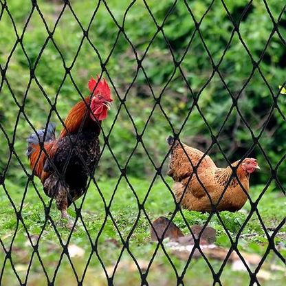 Bird Net - 50' x 50' Garden Netting with 2.4" Square Mesh Protect Fruit Tree, Plant & Vegetables from Poultry, Deer and Pests, Heavy Duty Tree Net for Garden, Farm, Orchard, etc.