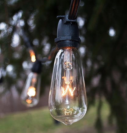 Hometown Evolution, Inc. Commercial Grade Vintage Edison Outdoor String Lights (ST40 Clear - Commercial Black Wire, 25 ft)