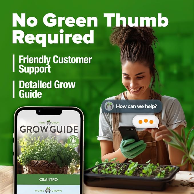 HOME GROWN Non GMO 500+ Cilantro Seeds for Planting Indoors or Outdoors - Heirloom Coriander Seeds, Grow Your Own Cilantro Plant - Culinary Herb Seeds for Your Herb Garden