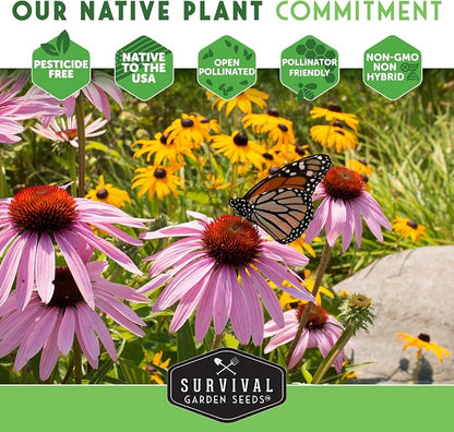 Lewis Blue Flax Seeds for Planting - Plant & Grow Drought Tolerant Native Perennial Wildflowers Your Home Garden - Non-GMO Heirloom Variety - Survival Garden Seeds (1 Pack)