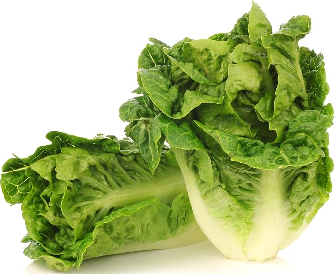 1000+ Little Gem Lettuce Seeds - Heirloom Non-GMO USA Grown - Grows Adorable Mini Romaine Lettuce Heads About 6" Tall - Vegetable Seeds for Planting