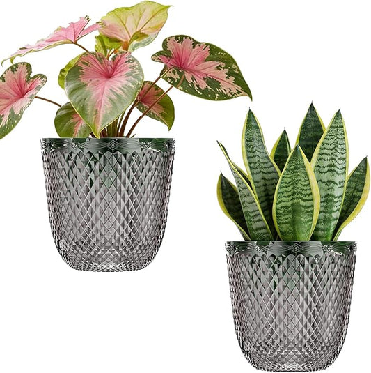 QCQHDU 2 Pack Self Watering Pots, 7.2 Inch Flower Pots with Drainage Holes and Water Filling Port, Plastic Garden Planter for Indoor Outdoor Plants (Gray)