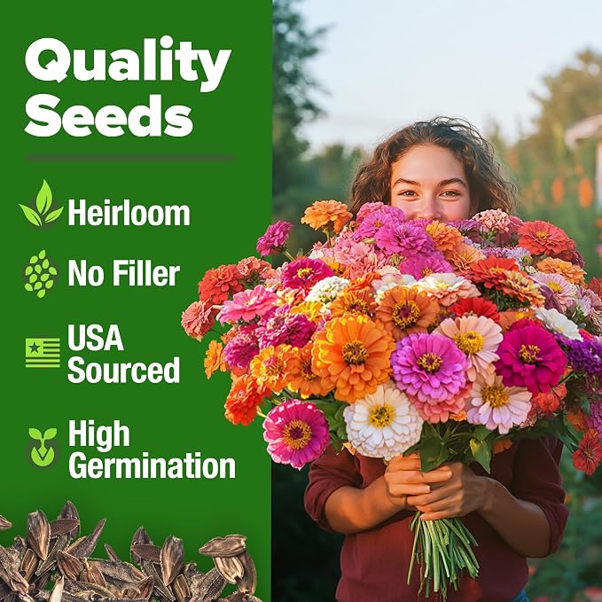 HOME GROWN Zinnia Seeds for 2026 - California Giant Mix - 7,300+ (2 oz) Plant Wildflower Blooms Bulk Seeds for Planting Flowers Outside - Pollinator Gardens (Zinnia elegans)