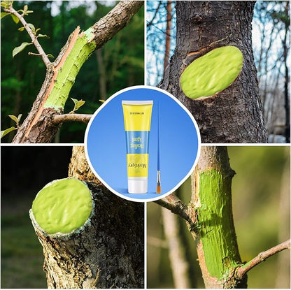 Threlaco Tree Wound Pruning Sealer, Bonsai Wound Sealer Healing Paste, 100g Plant Cutting Dressing with Brush, Tree Grafting Supplies, Bonsai Cut Paste, Quick Recovery of Plants