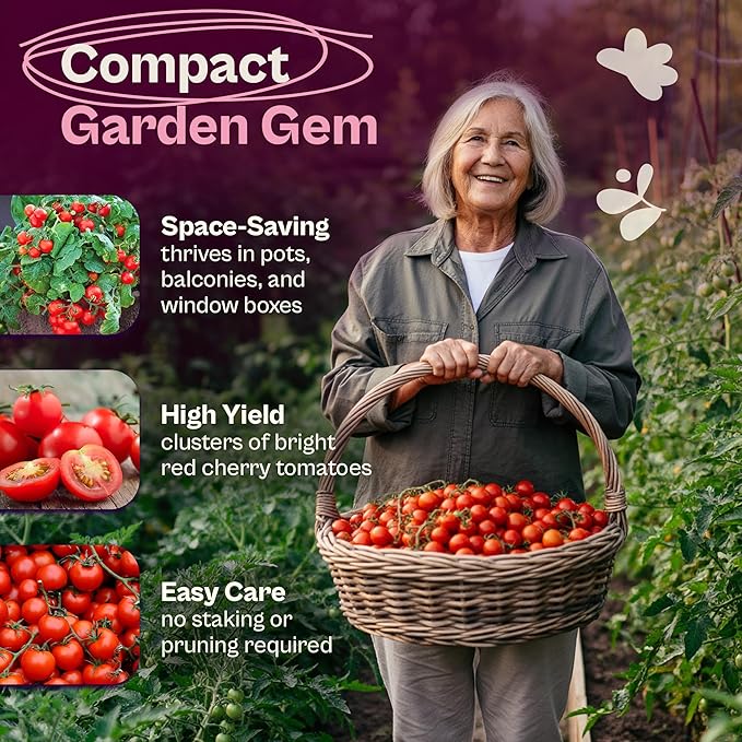 SVI 35 Cherry Tiny Tim Tomato Seeds (Solanum Lycoperscium) - Dwarf Cherry Tomato Seed Packets, Sweet Mini Tomatoes - Heirloom Vegetable Seeds for Containers, Patio, Indoor & Outdoor Garden