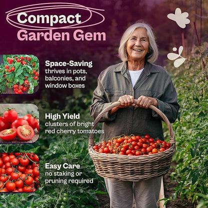 SVI 35 Cherry Tiny Tim Tomato Seeds (Solanum Lycoperscium) - Dwarf Cherry Tomato Seed Packets, Sweet Mini Tomatoes - Heirloom Vegetable Seeds for Containers, Patio, Indoor & Outdoor Garden