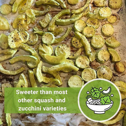 Sow Right Seeds - Tromboncino Rampicante Squash Seeds for Planting - Non-GMO Heirloom Packet with Instructions to Plant a Home Vegetable Garden - Grow Tasty Squash at Home, Great for Cooking