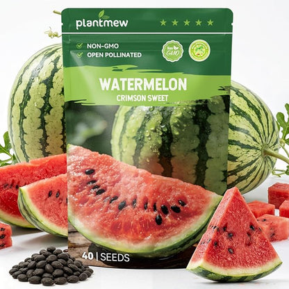 40 Heirloom Crimson Sweet Watermelon Seeds for Planting – Large Sweet Melon, High Germination, Fast-Growing, Ideal for Home Garden & Field