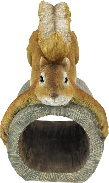 CRASH THE SQUIRREL RAIN GUTTER