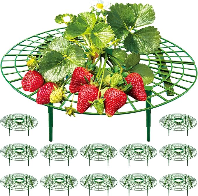 12 Pack Strawberry Supports, strawberry holder plants live for planting,Strawberry Growing Frame,Strawberry Trellis for Keeping Fruit Elevated to Avoid Ground Rot (green-12 pack)