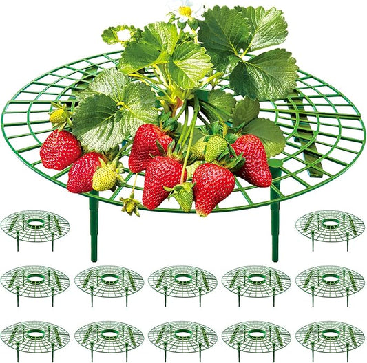 12 Pack Strawberry Supports, strawberry holder plants live for planting,Strawberry Growing Frame,Strawberry Trellis for Keeping Fruit Elevated to Avoid Ground Rot (green-12 pack)