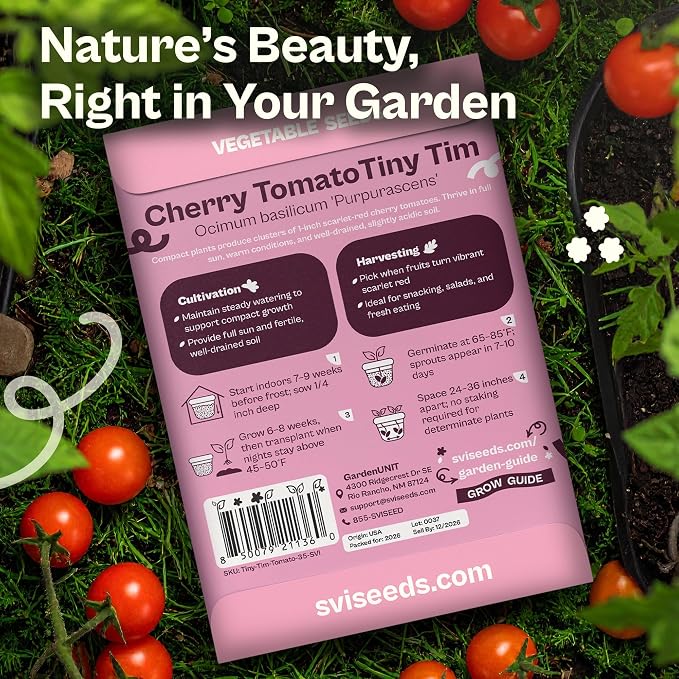 SVI 35 Cherry Tiny Tim Tomato Seeds (Solanum Lycoperscium) - Dwarf Cherry Tomato Seed Packets, Sweet Mini Tomatoes - Heirloom Vegetable Seeds for Containers, Patio, Indoor & Outdoor Garden