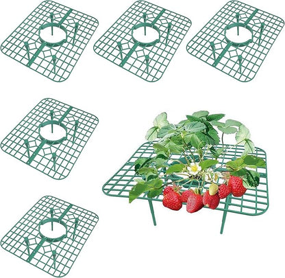 SooGree 5 Pack Strawberry Supports Garden Fruit Plant Cage Strawberry Holder Cradles Plastic Tray Keep Strawberries Off Rot and Dirt