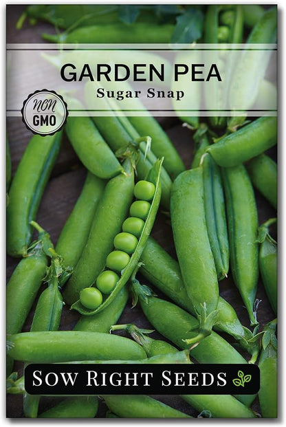 Sow Right Seeds - Sugar Snap Pea Seeds for Planting - Non-GMO Heirloom Peas to Grow in Vegetable Garden - High Yield Cool Season Crop - Packet with Instructions for Pea Plant Care (1)