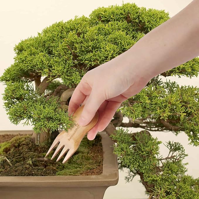 BambooMN Bonsai Tree Pruning Trimming Starter Tool Kit - Leaf Trimmers, and Bamboo Rake - 30 Sets