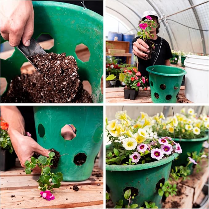 Bloom Master Hanging Baskets - 2 Gallon (3 Pack) - Hanging Planters for Outdoor Plants - Use as a Hanging Flower Basket, Strawberry Planter, Herb Planter, & More - Hanging Pots for Plants Outdoor