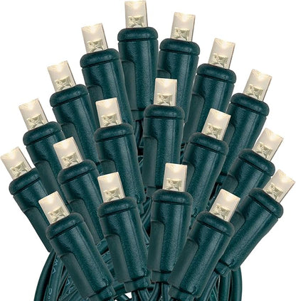 Novelty Lights 100 Light Solar Powered LED Outdoor Mini Light String, 50 Feet on Green Wire, Warm White 5mm Bulbs, Automatic Dusk to Dawn Operation