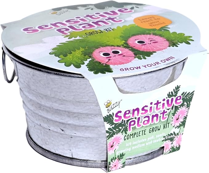 BUZZY Seeds Sensitive Plant Grow Kit – Mini Basin Touch Reactive Plant Starter Set with Moving Leaves, Indoor Gardening Gift and DIY Home Project