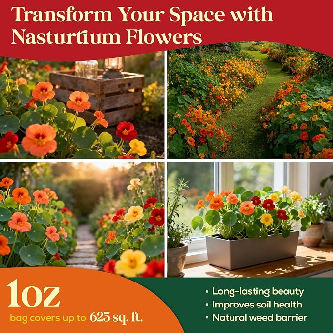 Seedphony Nasturtium Seeds Pack 1 oz - 180 Non-GMO Heirloom Nasturtium Seeds for Planting, Perennial Flowers in Waterproof Seed Packet, Wildflower Seeds for Planting Garden Indoor & Outdoor Gardening