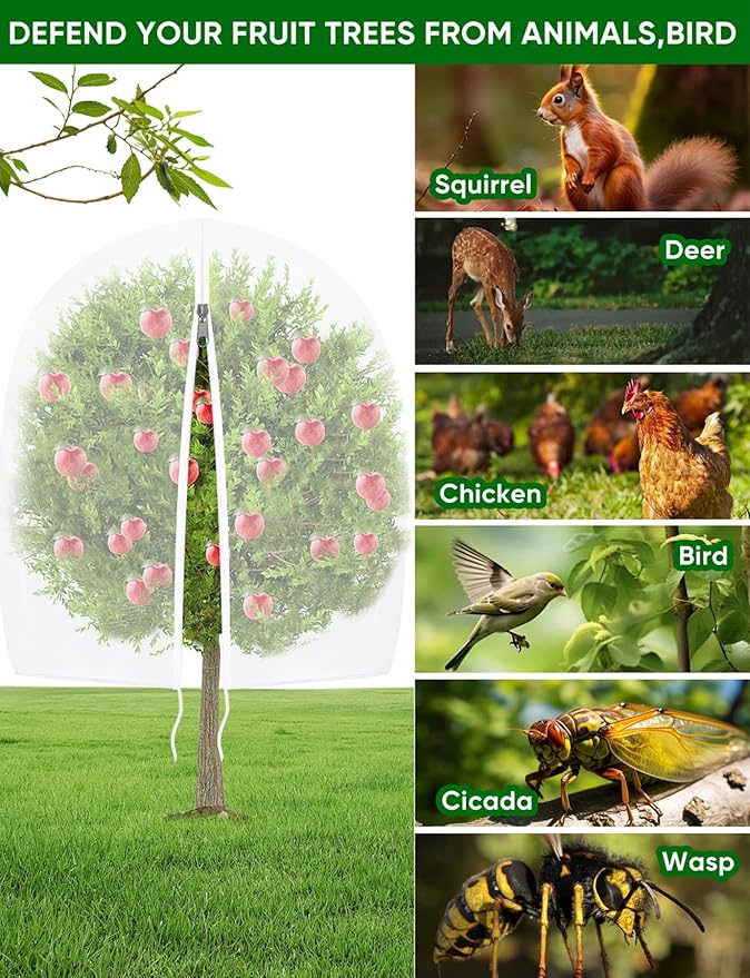Large Fruit Trees Netting Cicadas - 2Pcs 6X5.3 FT with Zipper and Drawstring,Bird Mesh Covers for Blueberry Bushes,Garden Apple Pear Peach Orange Tree Fruit Tomato Bug Plant Protection (2, 6X5.3 FT)
