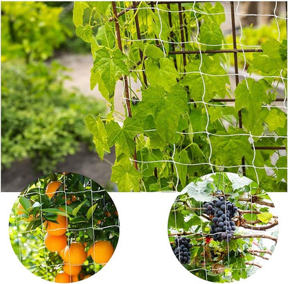 Trellis Netting, PDGROW Heavy Duty Garden Trellis Netting, 6 x 30 ft Trellis Netting for Climbing Plants, Outdoor Indoor Grow Net for Support Vine Vegetable Fruits and Flower, 4 Pack（Put in One Pack）