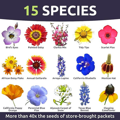 Southwest Regional Mix - Bulk 1/4 Pound Pouch - 60,000 Flower Seeds for Planting - Wildflower Mix