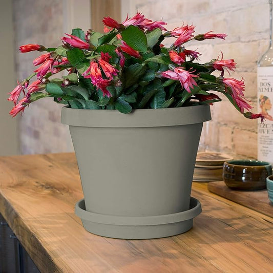 Bloem Terra Resin Saucer Tray: 8" Bottom Width - Pebble Stone Beige - Matte, Durable, Ribbed Bottom, Indoor and Outdoor, Fits 10" Terra Pots