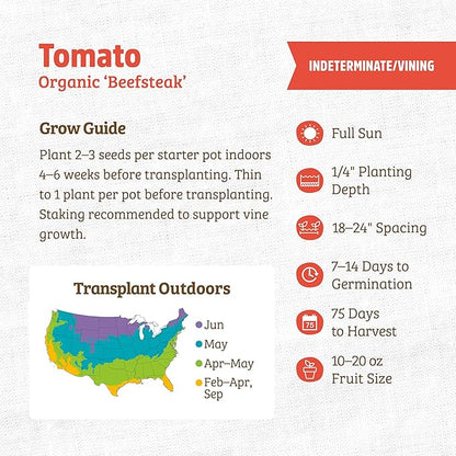 Back to The Roots 100% Organic Heirloom Seeds - Beefsteam Tomato Seeds for Planting Value Pack (200mg Total)