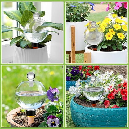 DI QIU REN 6 Pack 19oz Large Self Watering Globes, Automatic Plant Waterer with Glass Stopper - Slow Release Bulbs & Planter Insert, Top-Fill Water Spikes for Indoor Plants (6, Clear)