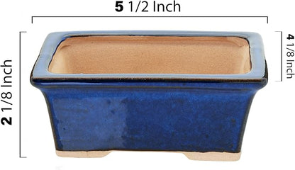 Leaves and Soul Bonsai Kit – Blue Ceramic Pot Set with Soil Mix, 160ft Training Wire, Cutter, Fertilizer & Storage Bag | Complete Beginner Bonsai Starter Set