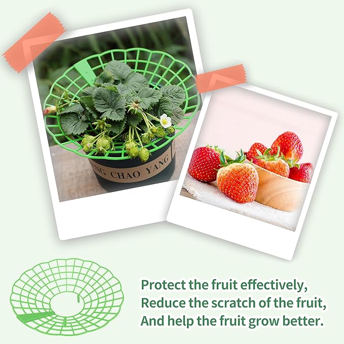 5 Packs Strawberry Supports - Reusable Strawberry Plant Stand Waterproof Growing Frame Plastic Fruit Tray Protectors Sturdy Strawberry Growing Racks to Keep Strawberries Off Mold, Rot and Dirt