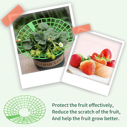 5 Packs Strawberry Supports - Reusable Strawberry Plant Stand Waterproof Growing Frame Plastic Fruit Tray Protectors Sturdy Strawberry Growing Racks to Keep Strawberries Off Mold, Rot and Dirt