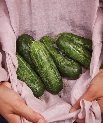 Burpee 'Supremo' Pickling Cucumber Seeds, 30 Non-GMO seeds, Container Friendly