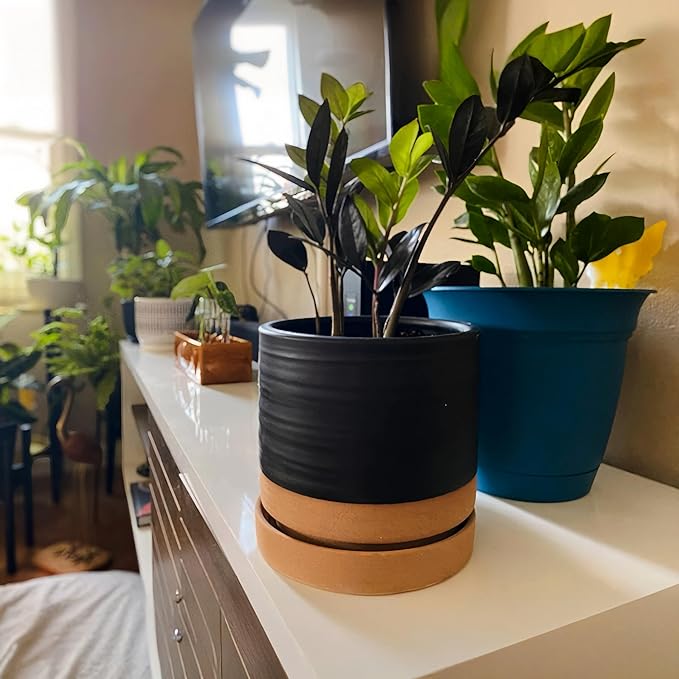HERDUK 6 Inch Plant Pots, Ceramic Planter Pot with Drainage Hole & Saucer, Indoor/Outdoor Cylinder Round Planter Pot, Matte Black & Brown