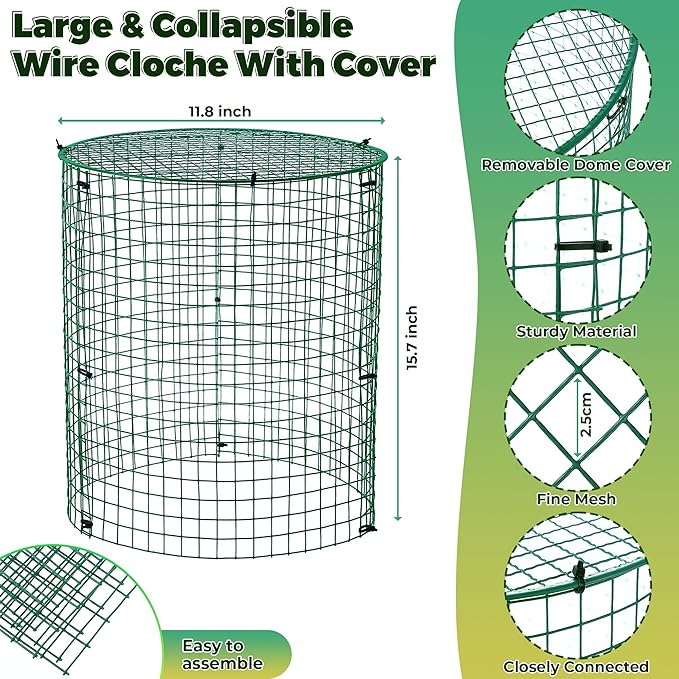6 Pack Garden Plant Protectors from Animals with Stakes, Metal Mesh and Detachable Covers Wire Plant Cage for Keeping Bunny Animals Out, Chicken Wire Cover Garden Protect (16 * 13 in)