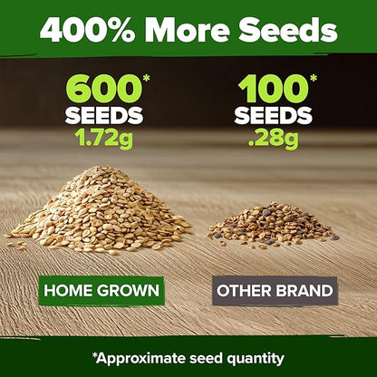 HOME GROWN Beefsteak Tomato Seeds 600+ Heirloom Non-GMO Seeds for Planting, High Germination, Indeterminate Extra Large Meaty Slicing Tomato,Prolific Garden Crop, Sandwich Ready (Solanum lycopersicum)
