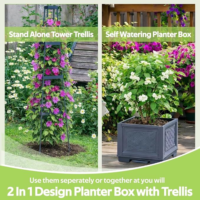 Tomato Planter Box with Trellis - Self-Watering Rolling Raised Garden Bed with Tomato Cages for Climbing Plants - Tomato Trellis with Planter Support for Flower Vegetable Vine Indoor Outdoor