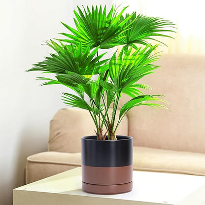 D'vine Dev Set of 2 Plants Pots, 6 Inch Ceramic Planter Pot for Plants with Drainage Hole and Saucer, Black/Speckled Tan, 94-V-C-7