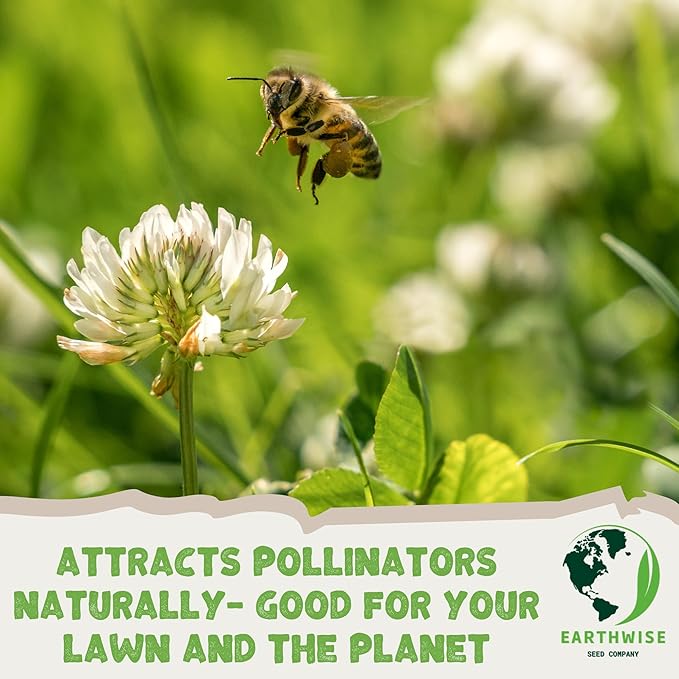 Earthwise Pollinator Paradise Native Mix – 1/2lb = 1200sqft
