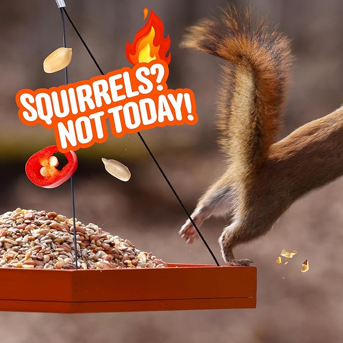 Cool Birds No Mess Sad Squirrels Hot Bird Seed – 10 lb. Spicy Shell-Free Blend with Peanuts, Sunflower Hearts & Chili Pepper Oil – No Waste, Squirrel-Resistant Bird Food for Outside Feeders