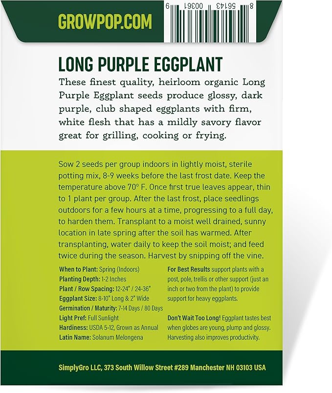 Organic Eggplant Seeds (Long Purple) - Approx 160 Seeds (Pack of 2)