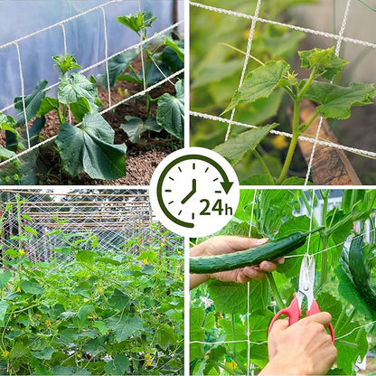 Mellbree Trellis Netting for Climbing Plants, 24.6x6.6FT, 2Packs Heavy Duty Trellis Net for Climbing Plants Outdoor, Cucumber, Tomatoes, Peas, Vegetable and Vine