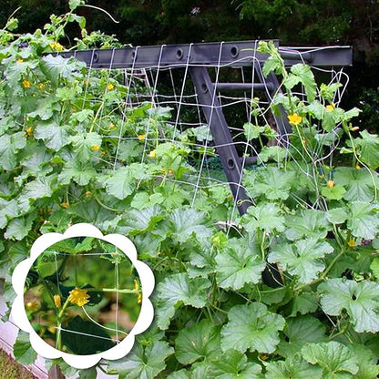 Trellis Netting for Climbing Plants, 2 Pack 5x15 Ft Heavy Duty Garden Trellis Netting, Square Garden Mesh Outdoor Grow Net for Support Vine Vegetable Fruits and Flower with 50 Pcs Garden Ties