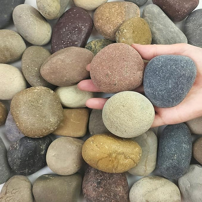 5 lbs Natural Aquarium Rocks, 2-3 Inch Large Pebbles.Decorative River Rocks for Plants, Fish Tank, Garden, Paving, Fountain, Walkways and Outdoor Landscaping