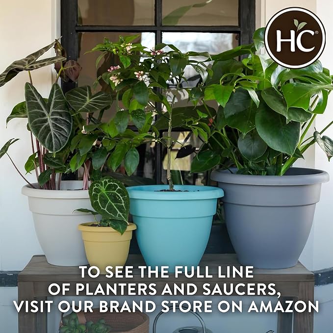 The HC Companies 8 Inch Caribbean Planter Pots with Drainage & Plug, Rolled Rim Plastic Planters for Indoor & Outdoor Plants, 4-Pack Decorative Flower Pots for Garden, Office & Home Decor, Warm Gray